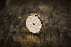 Mega Honeycomb